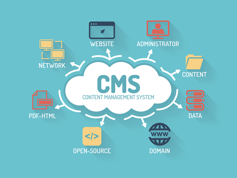 Custom CMS Development Services in Ottawa - Scalable Content Management Solutions